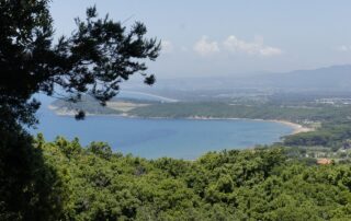 Die Silberküste - La Côte d'Argent -The Silver Coast - La Costa d'Argento - Foto di Eliane Meyer da Pixabay