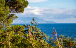 Isola del Giglio - Giglio Island - L'île du Giglio - Insel Giglio